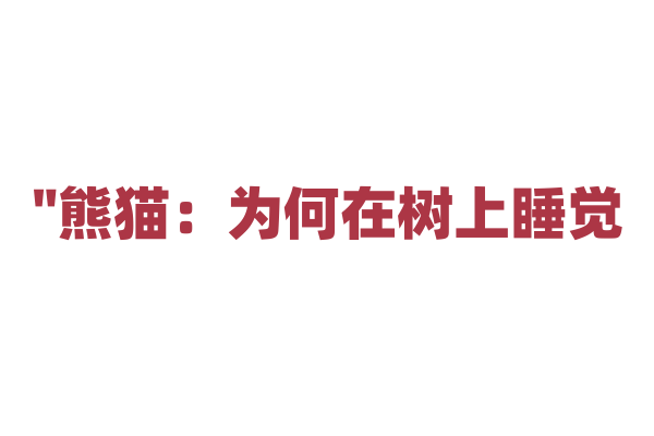 "熊猫：为何在树上睡觉？"